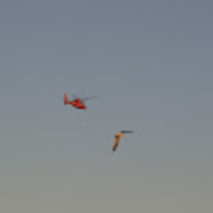 Meet your Posher, Kshama